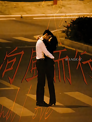 国产剧《向风而行》2022 2160P 全39集 豆瓣 6.8分【74GB】