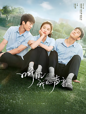 国产剧《听见我的声音》2022 2160P 全25集 豆瓣 7.4分【24GB】