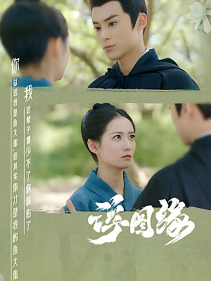 国产剧《浮图缘》2022 2160P 全36集 豆瓣 6.6分【66GB】