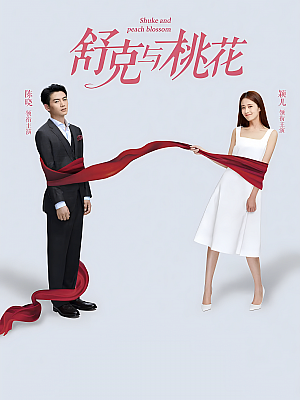 国产剧《舒克与桃花》2021 1080P 全40集 豆瓣 7.0分【9GB】