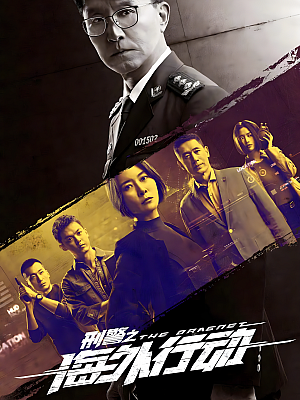 国产剧《刑警之海外行动》2021 2160P 全38集 豆瓣 7.0分【52GB】