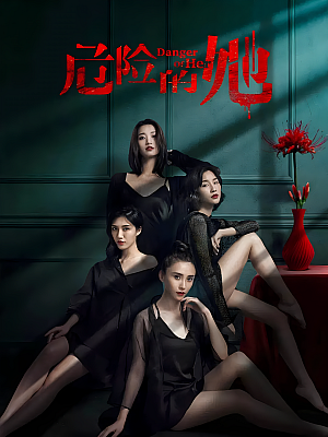 国产剧《危险的她》2020 1080P 全14集 豆瓣 6.8分【10GB】