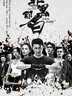 国产剧《非黑即白》2020 1080P 全12集 豆瓣 7.3分【14GB】