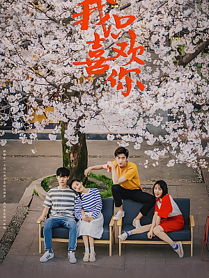 国产剧《我只喜欢你》2019 2160P 全35集 豆瓣 7.3分【39GB】