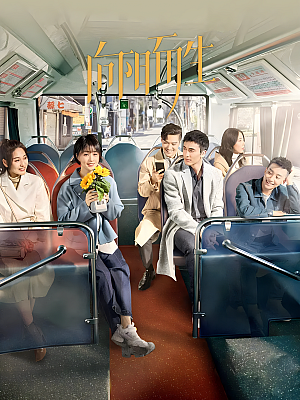 国产剧《向阳而生》2020 1080P 全40集 豆瓣 6.6分【51GB】