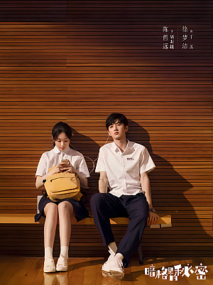 国产剧《暗格里的秘密》2021 1080P 全24集 豆瓣 6.8分【28GB】
