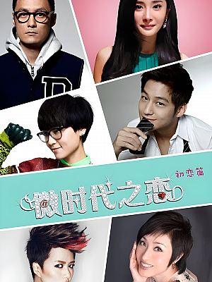 国产剧《微时代》2014 1080P 全40集 豆瓣 6.9分【35GB】