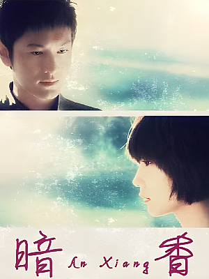 国产剧《暗香》2008 720P 全33集 豆瓣 7.3分【43GB】