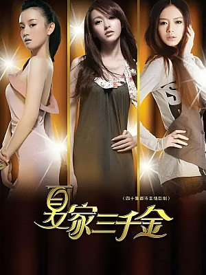 国产剧《夏家三千金》2011 1080P 全40集 豆瓣 5.9分【83GB】