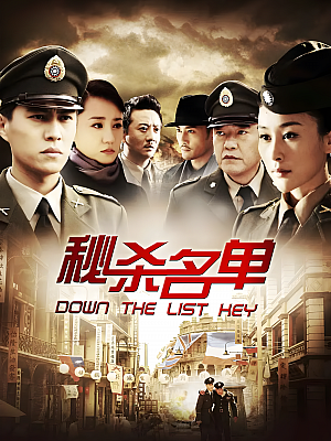 国产剧《密杀名单》2011 1080P 全30集 豆瓣 7.1分【30GB】