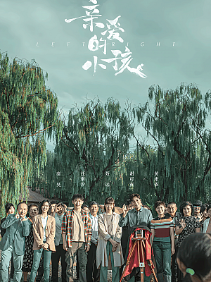 国产剧《亲爱的小孩》2022 2160P 全34集 豆瓣 7.7分【32GB】