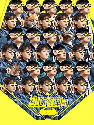 国产剧《动物管理局》2019 2160P 全24集 豆瓣 7.6分【42GB】