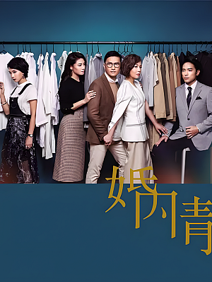 港台剧《婚内情》2019 1080P 全31集 豆瓣 7.5分【15GB】