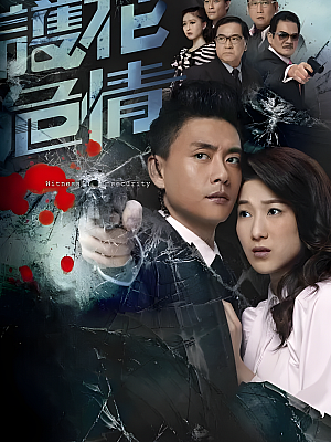 港台剧《护花危情》2012 1080P 全19集 豆瓣 7.1分【24GB】