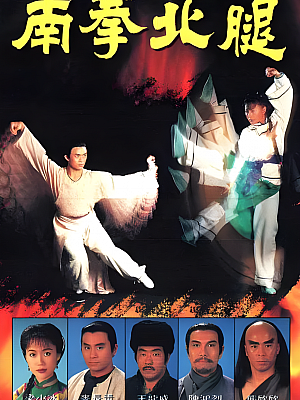 港台剧《南拳北腿》1995 1080P 全20集 豆瓣 7.1分【12GB】