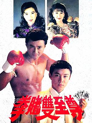 港台剧《拳赌双至尊》1992 720P 全20集 豆瓣 8.1分【16GB】