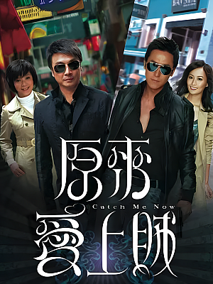 港台剧《原来爱上贼》2008 1080P 全20集 豆瓣 7.5分【21GB】