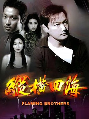 港台剧《纵横四海》1999 1080P 全42集 豆瓣 8.1分【31GB】