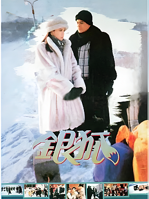 港台剧《银狐》1993 1080P 全30集 豆瓣 8.6分【73GB】