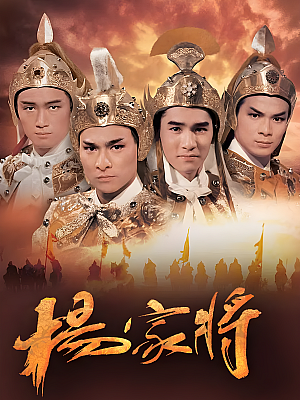 港台剧《杨家将》1985 1080P 全6集 豆瓣 7.7分【8GB】
