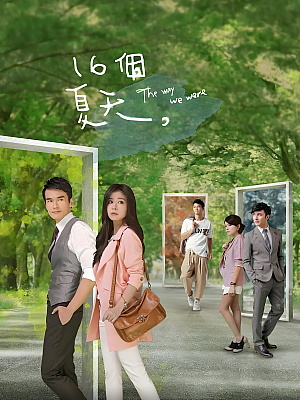 港台剧《十六个夏天》2014 1080P 全16集 豆瓣 7.9分【45GB】