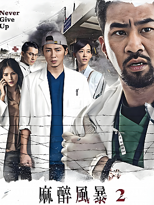 港台剧《麻醉风暴 第二部》2017 1080P 全13集 豆瓣 8.6分【27GB】