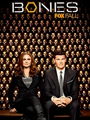 美剧《识骨寻踪 第九季》Bones Season 9 2013 1080P 英语中字 全24集 豆瓣 8.9分【29GB】