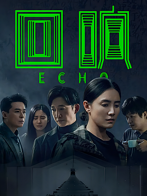 国产剧《回响》2023 2160P 全13集 豆瓣 5.9分【53GB】