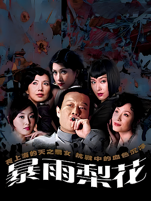 国产剧《暴雨梨花》2006 1080P 全40集 豆瓣 7.3分【52GB】