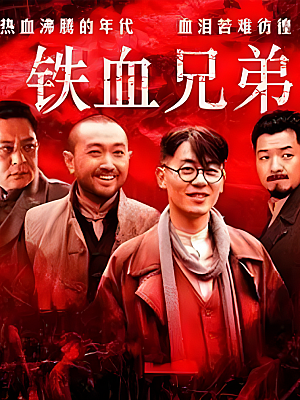 国产剧《铁血兄弟》2013 1080P 全30集 豆瓣 8.1分【63GB】