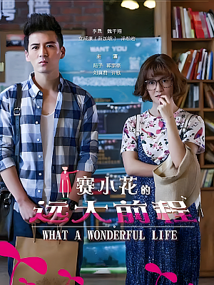 国产剧《赛小花的远大前程》2017 1080P 全42集 豆瓣 6.1分【46GB】