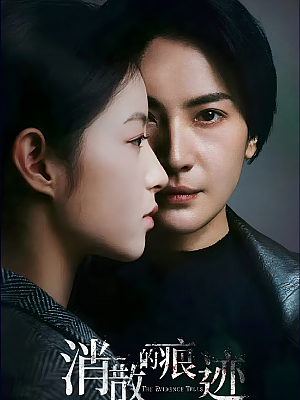 国产剧《消失的痕迹》2023 2160P 全32集 豆瓣 6.7分【69GB】