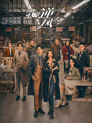 国产剧《我要逆风去》2023 2160P 全40集 豆瓣 7.3分【101GB】