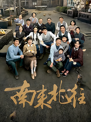 国产剧《南来北往》2024 2160P 全39集 豆瓣 7.1分【77GB】