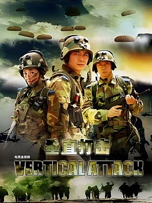 国产剧《垂直打击》2006 2160P 全20集 豆瓣 6.8分【111GB】