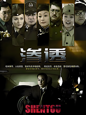 国产剧《渗透》2013 2160P 全34集 豆瓣 7.3分【41GB】