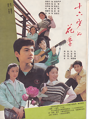 国产剧《十六岁的花季》1990 1080P 全12集 豆瓣 8.3分【14GB】