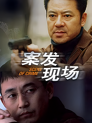 国产剧《案发现场 第一部》2004 1080P 全30集 豆瓣 8.6分【18GB】