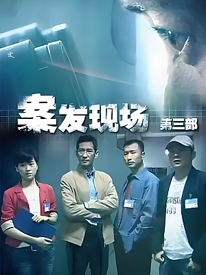 国产剧《案发现场 第三部》2010 1080P 全32集 豆瓣 8.1分【20GB】