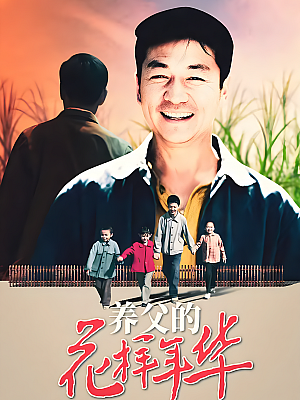 国产剧《养父的花样年华》2014 1080P 全33集 豆瓣 6.6分【64GB】