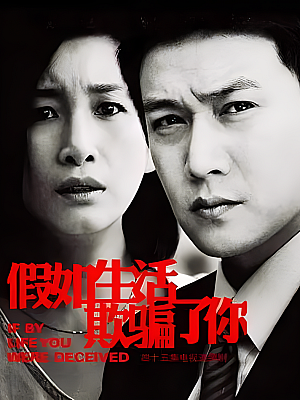 国产剧《假如生活欺骗了你》2013 1080P 全40集 豆瓣 7.7分【39GB】