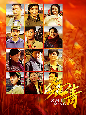 国产剧《知青》2012 1080P 全45集 豆瓣 8.5分【81GB】