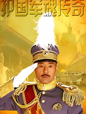 国产剧《护国军魂传奇》2011 1080P 全37集 豆瓣 8.0分【36GB】