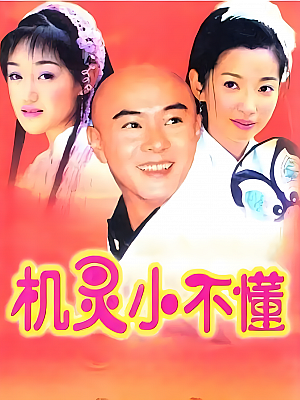 国产剧《机灵小不懂》2001 2160P 全30集 豆瓣 7.7分【44GB】