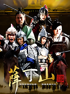 国产剧《薛丁山》2013 1080P 全40集 豆瓣 5.3分【78GB】