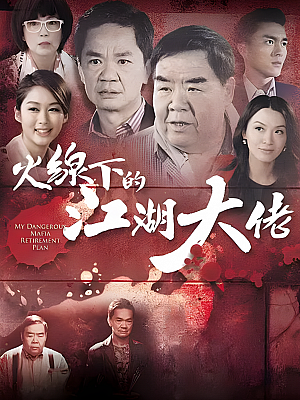 港台剧《火线下的江湖大佬》2016 1080P 全25集 豆瓣 7.1分【47GB】