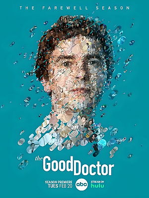 美剧《良医 第七季》The Good Doctor Season 7 2024 1080P 英语中字 全10集 豆瓣 9.0分【12GB】
