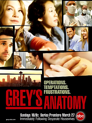 美剧《实习医生格蕾 第一季》Grey’s Anatomy Season 1 2005 1080P 英语中字 全9集 豆瓣 8.9分【23GB】