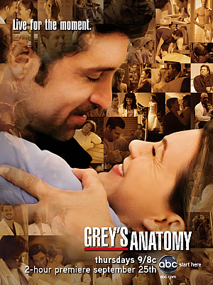 美剧《实习医生格蕾 第五季》Grey’s Anatomy Season 5 2008 1080P 英语中字 全24集 豆瓣 9.0分【31GB】