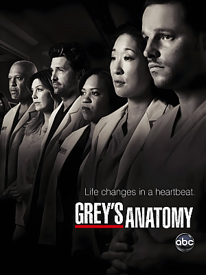 美剧《实习医生格蕾 第七季》Grey’s Anatomy Season 7 2010 1080P 英语中字 全22集 豆瓣 9.0分【26GB】